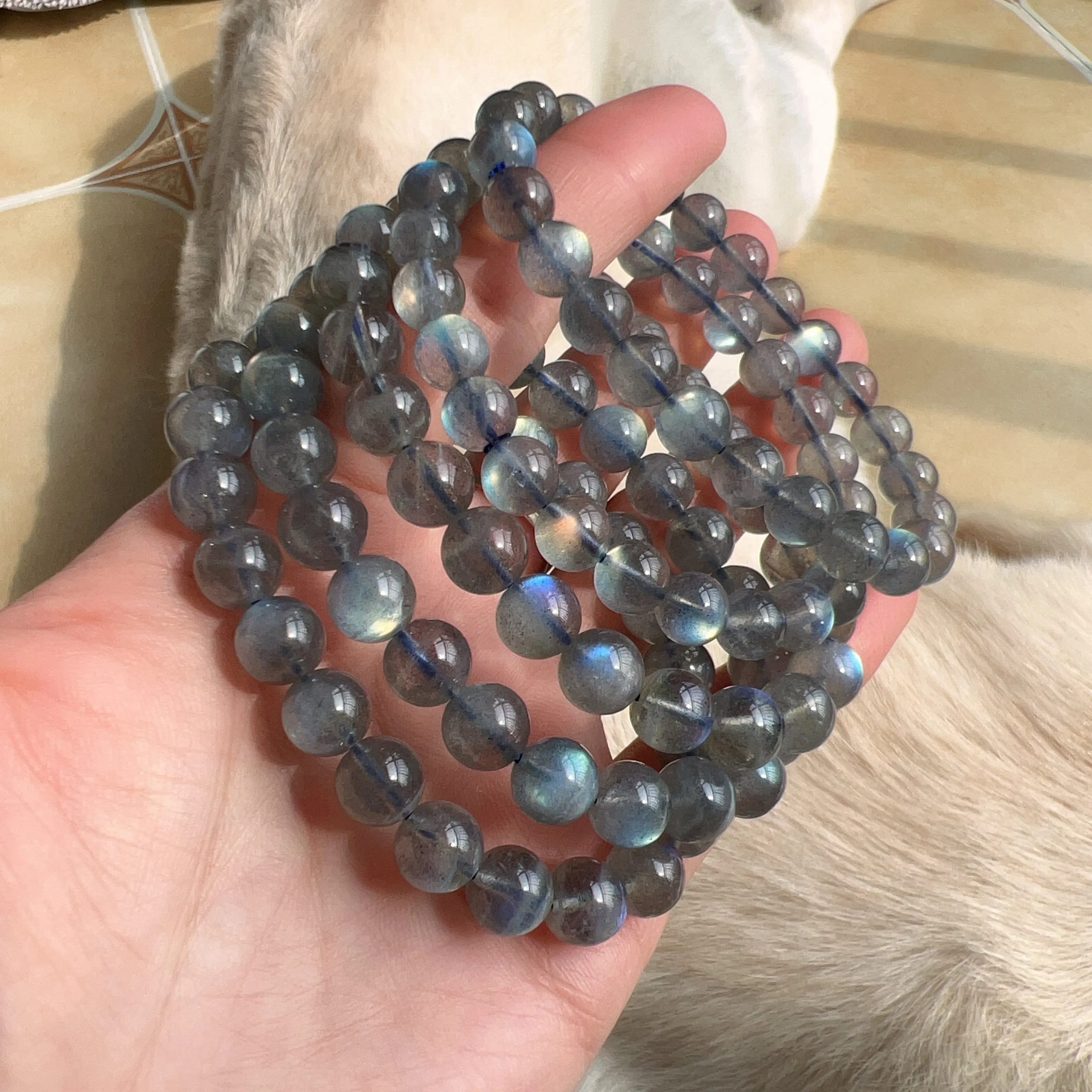 5 Bracelets Natural Strong Rainbow Flash Labradorite Round Beaded Bracelets for DIY Jewelry Project