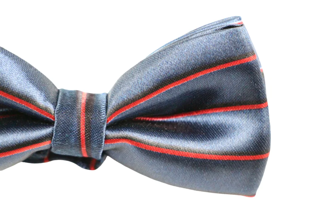 Boys Navy With Red Stripes Patterned Bow Tie