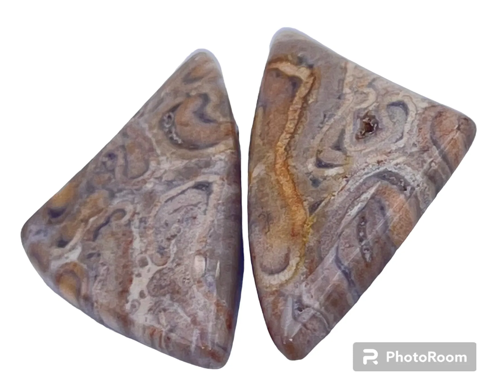 Fossilized Tree Fern Freeform Designer Cabochon Pair 28x15mm